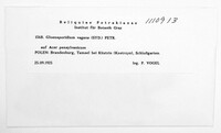 Image Associated With the Occurence